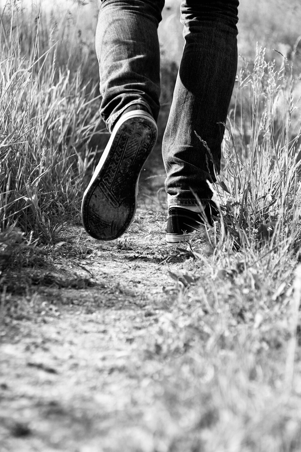 Photo #13059608