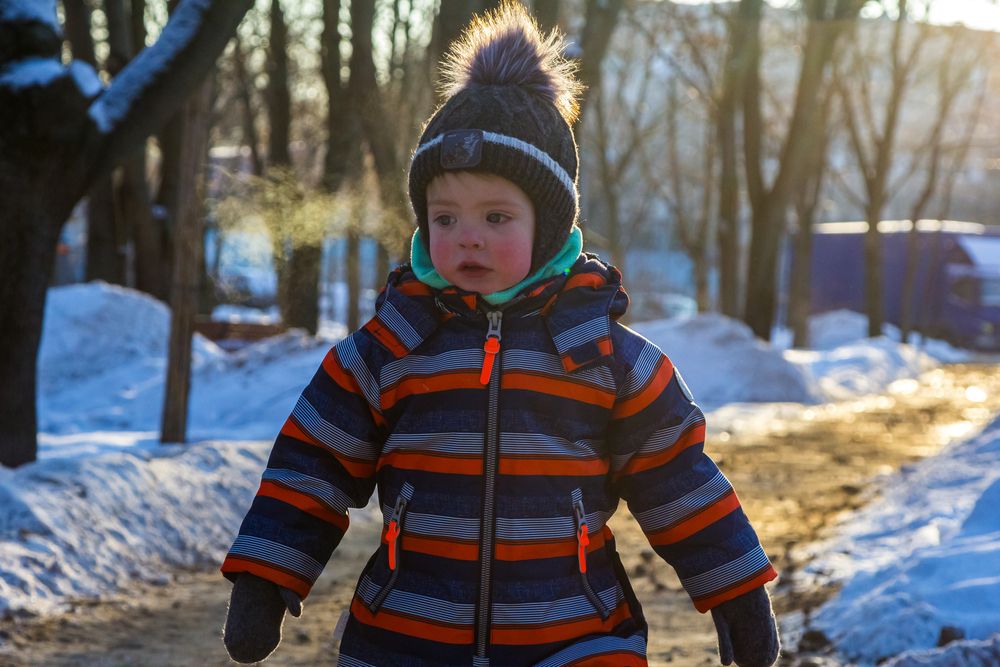 Фотография автора Алексей Соколов