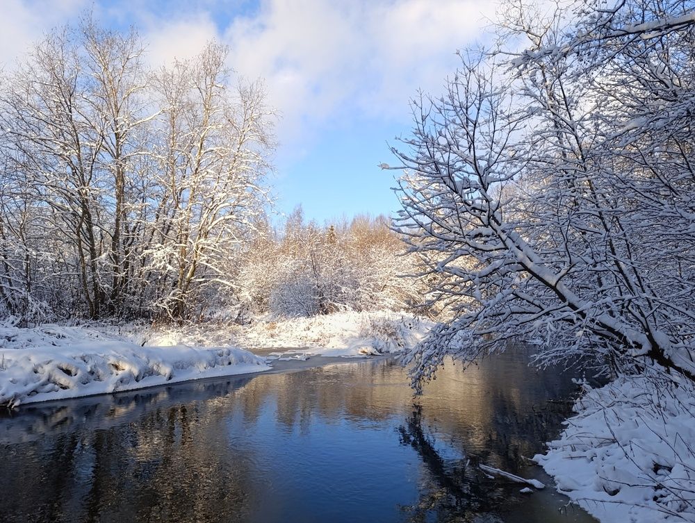 Фотография автора Андрей Шестаков
