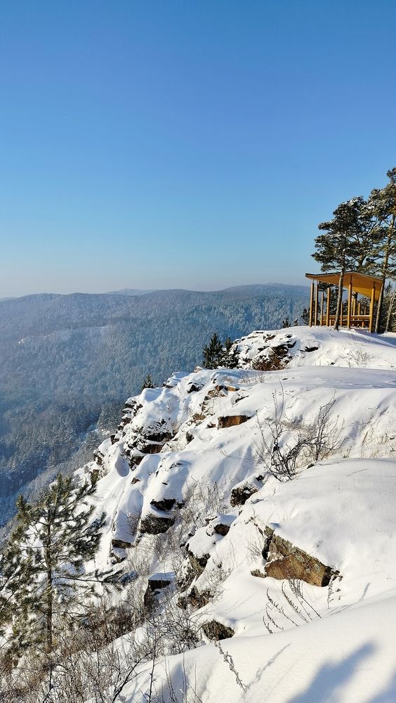 Photograph by Анастасия Горбачева