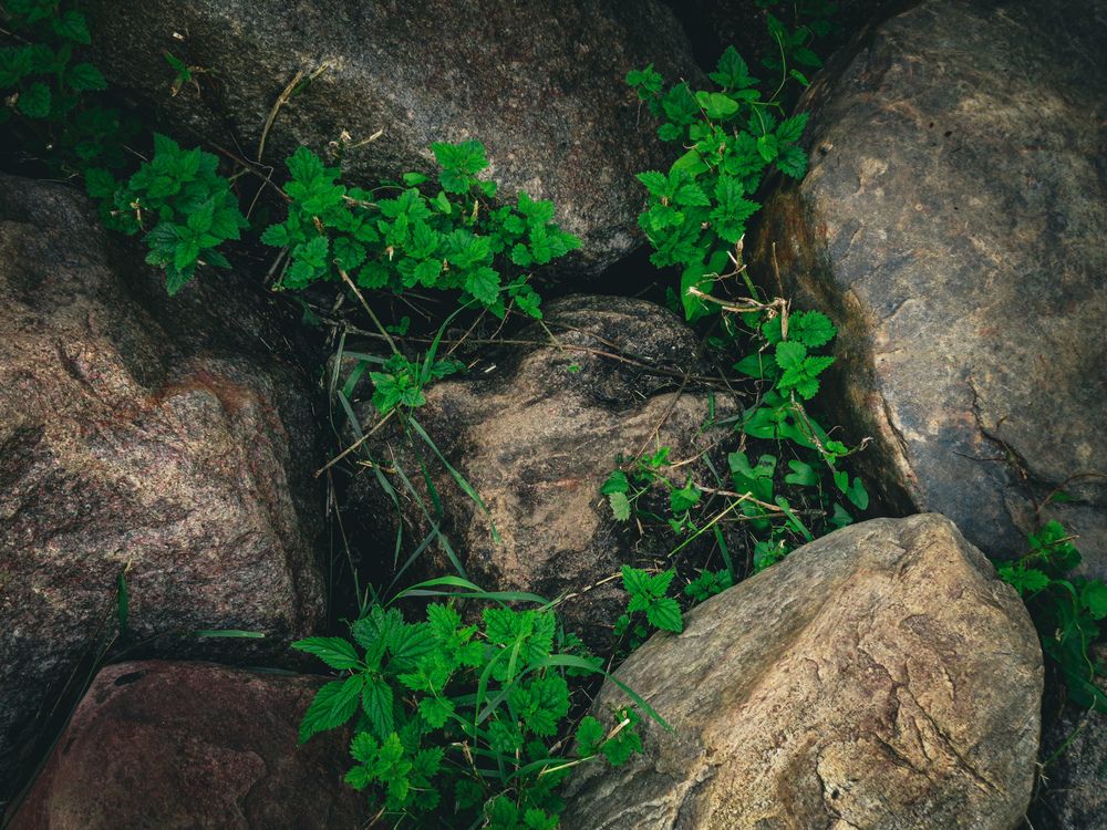 Photograph by Игорь Максимов