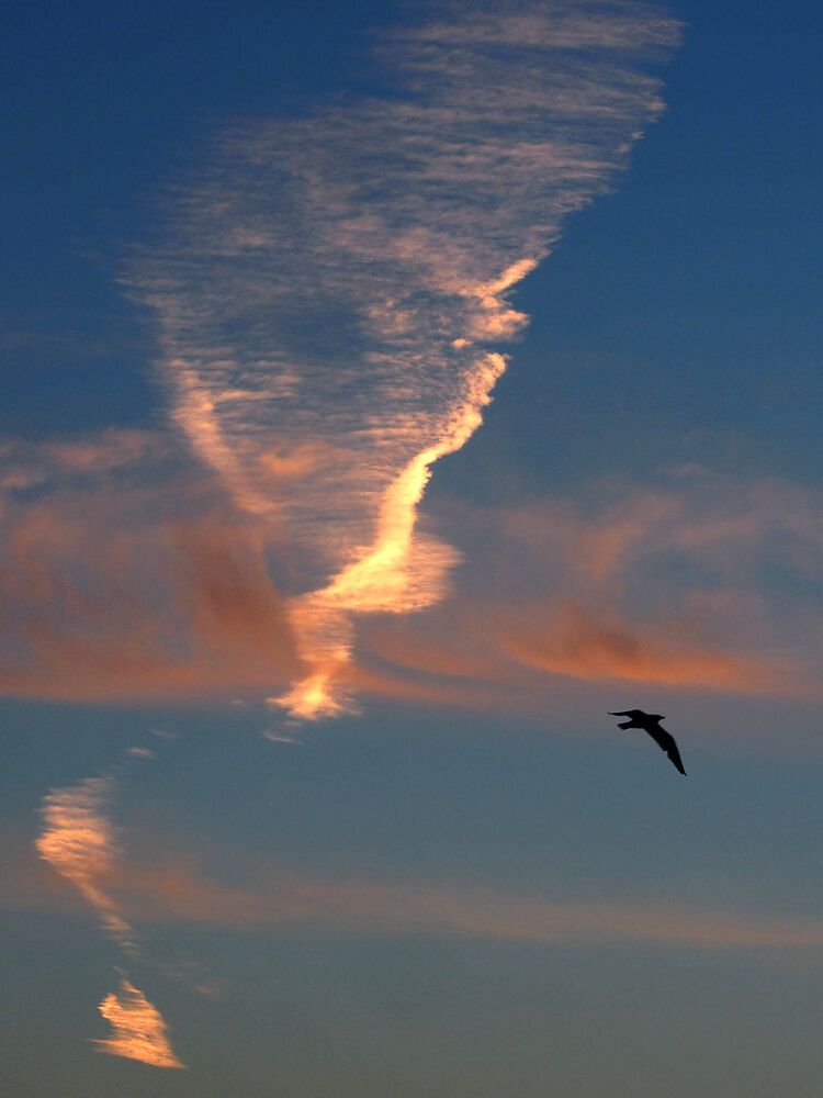 Высокий полет