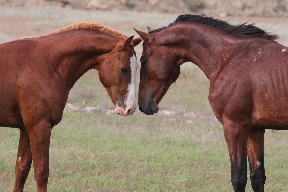 Photograph by Тимофей Черепанов