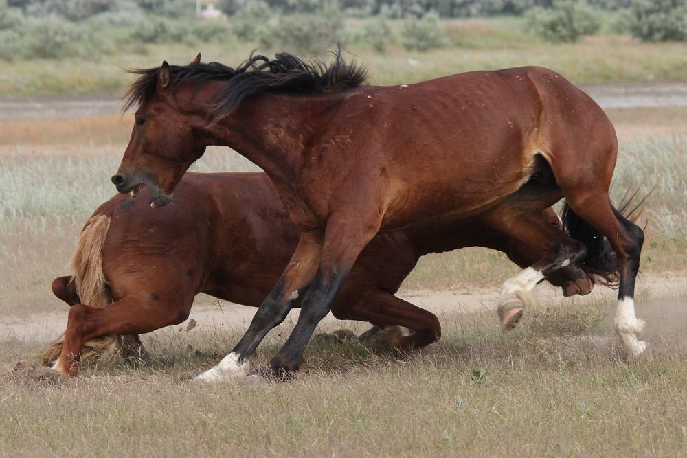 Photograph by Тимофей Черепанов