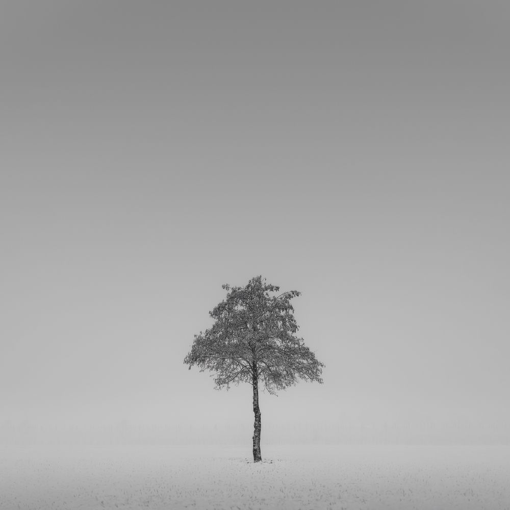 Photograph by de Franzoni Thomas