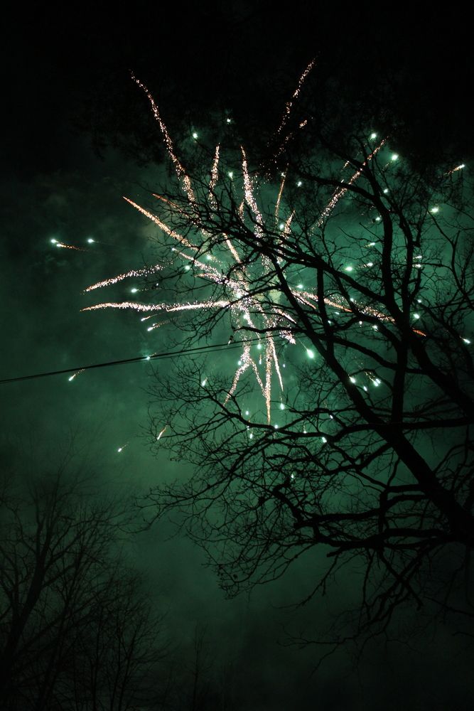 Photo #13059685