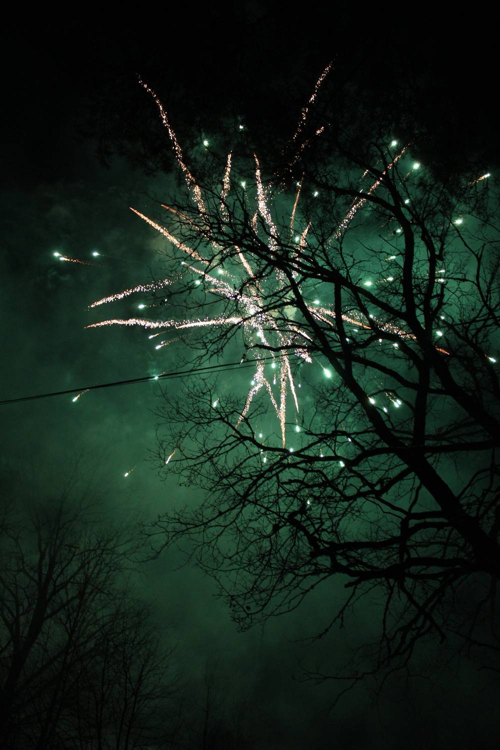 Photo #13059685