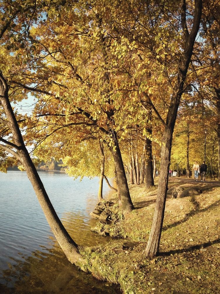 Photograph by Галина Махонь