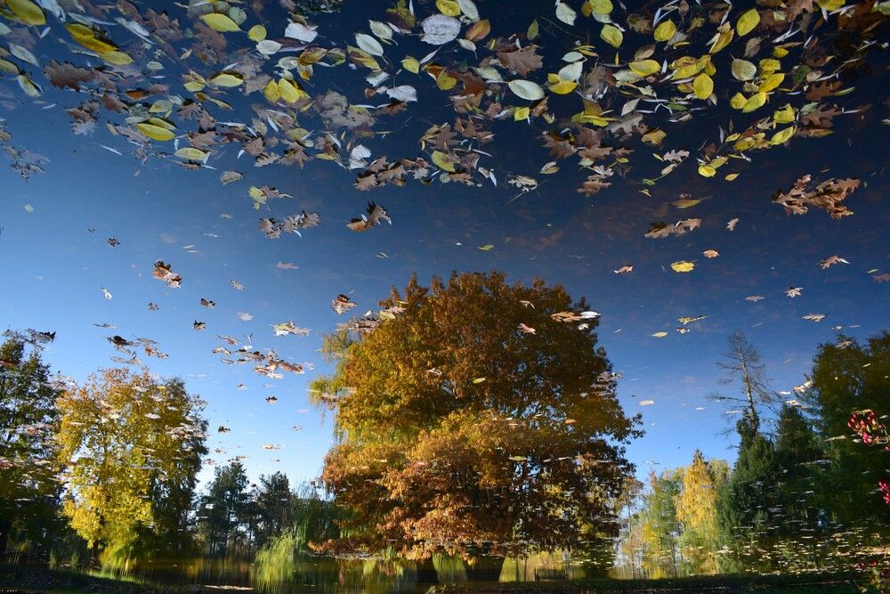 Photograph by Vyacheslav Popov