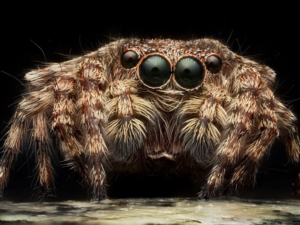 Фотография автора what.fred.saw