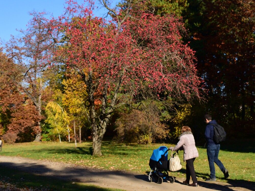 Photograph by Vyacheslav Popov