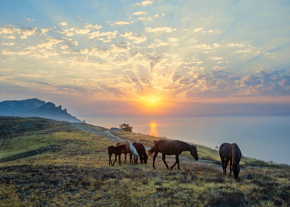 На рассвете