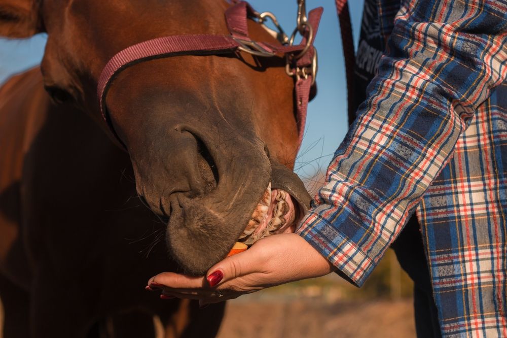 Photograph by Надежда Виденина