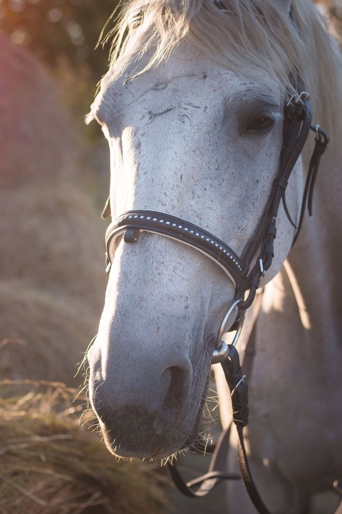 Photograph by Надежда Виденина