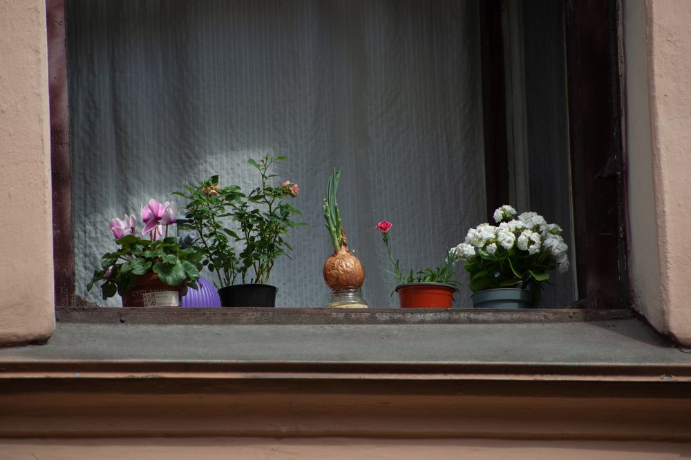 Фотография автора Андрей Колоденков