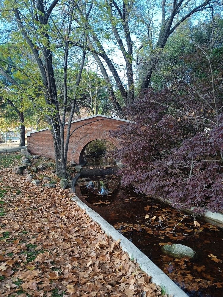 Photograph by Carlos Enrique Gozalo Ara