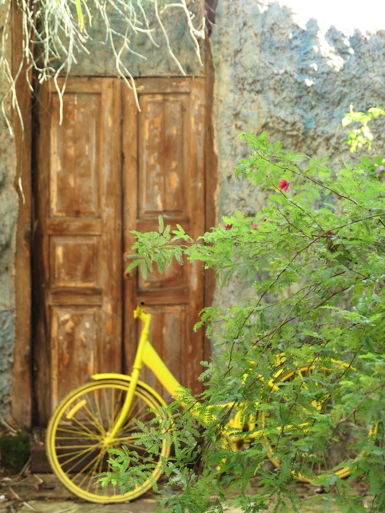 парк - это тихие уголочки