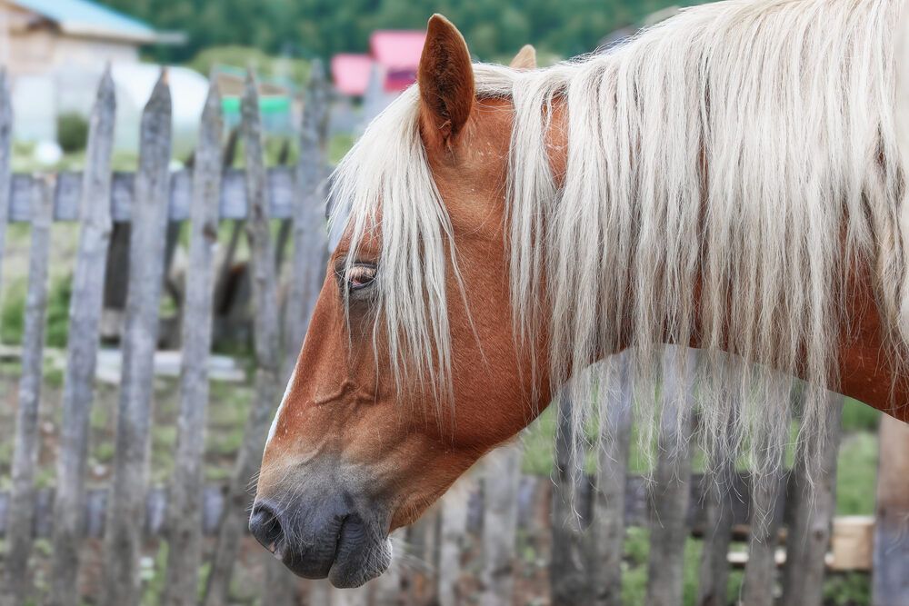 Photograph by Вячеслав Шевченко