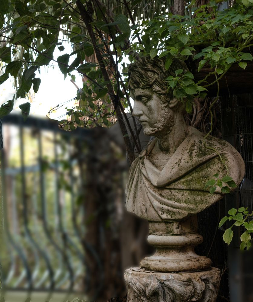 Photograph by Галина Горлицки