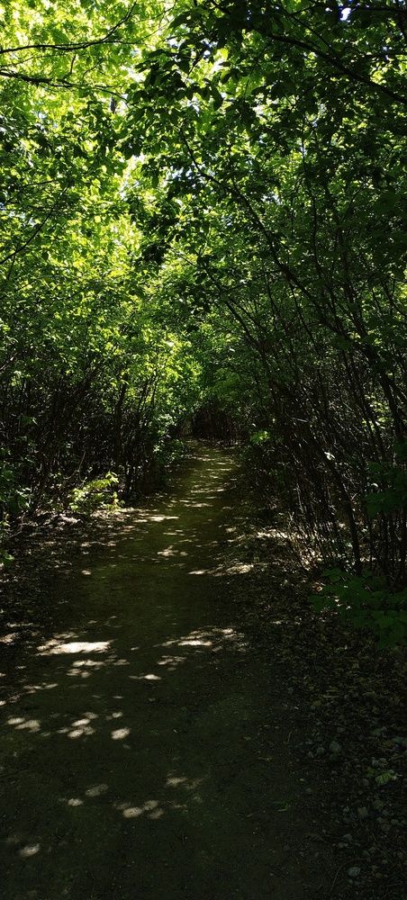 Photograph by Дарина Макарова