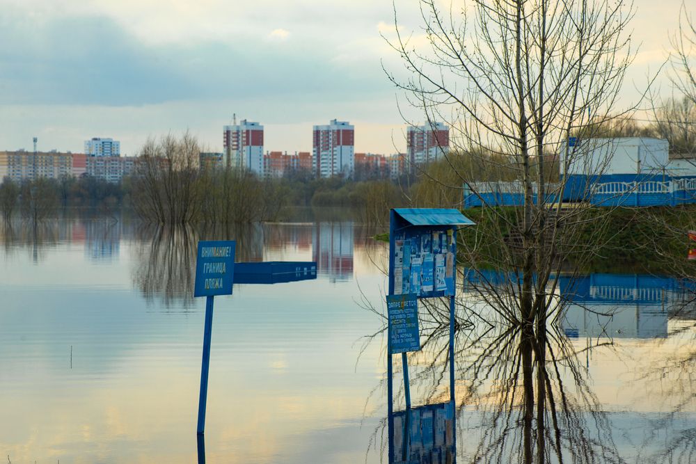 Фотография автора Алёна Подгорная