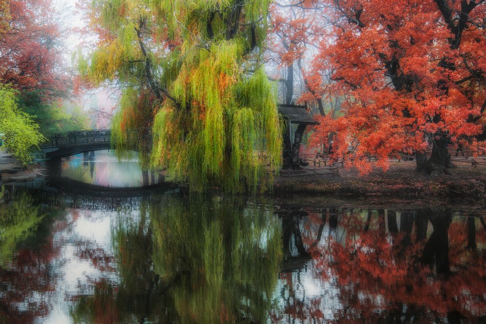 Photograph by Антон Садомов