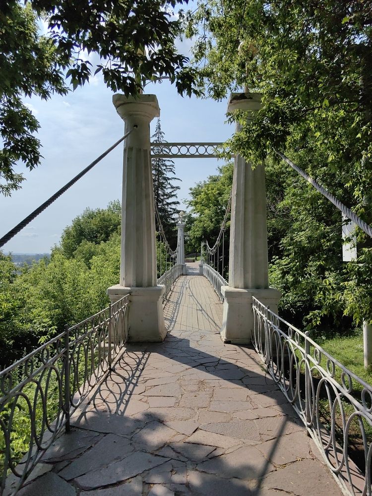 Вантовый мост среди крон: гармония природы и архитектуры