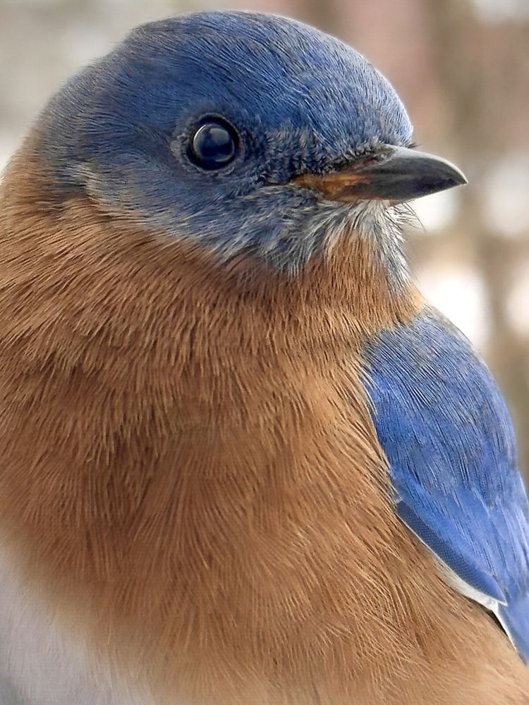Фотография автора what.fred.saw