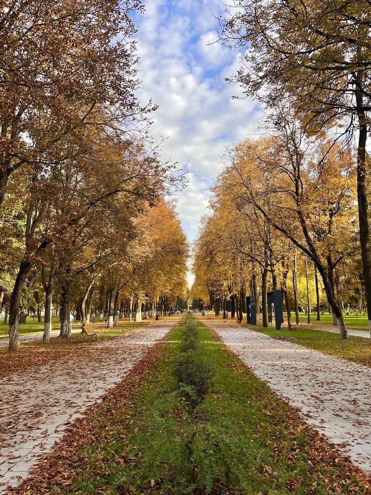 Photograph by Дарья Софронова