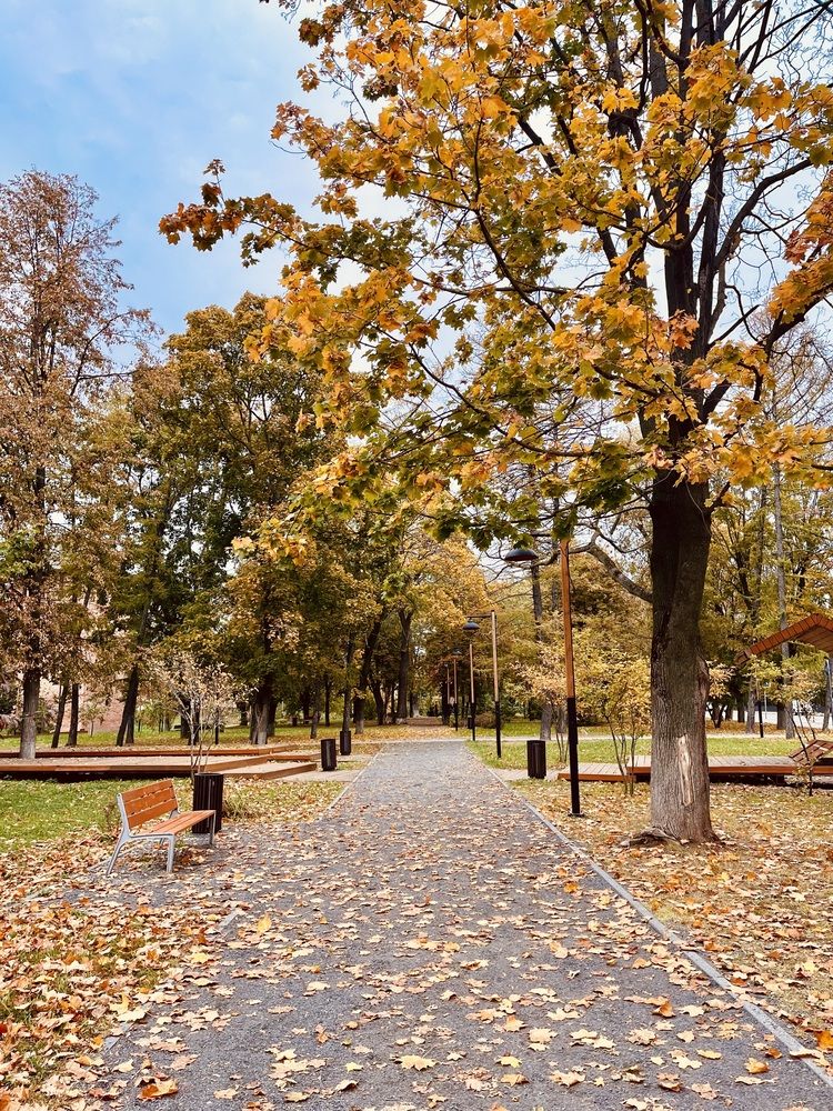 Photograph by Дарья Софронова