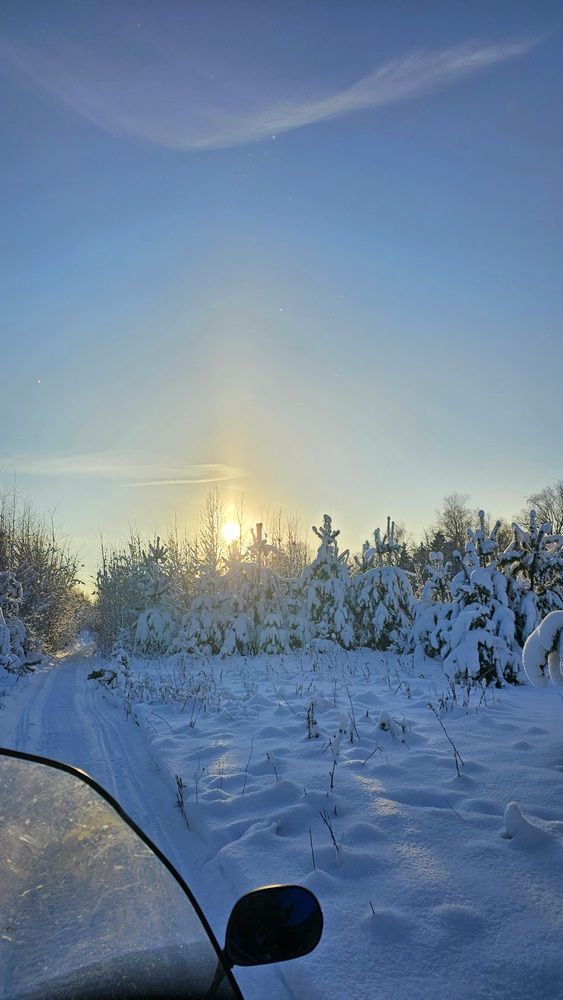 Зимняя сказка в Московской области