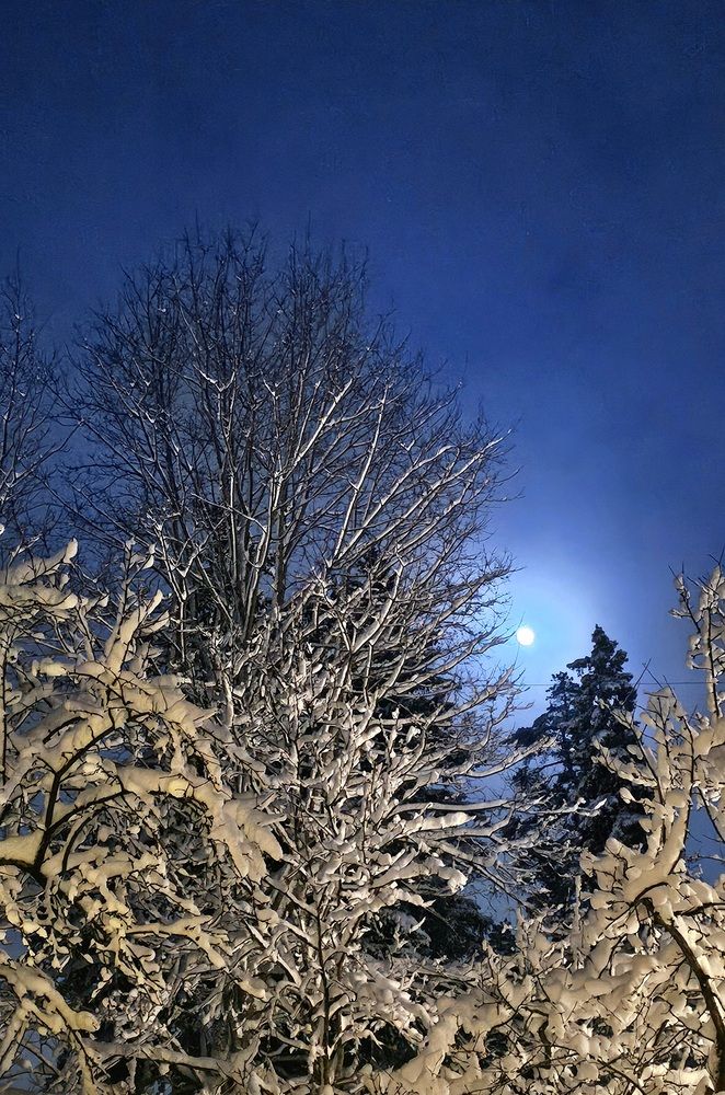 Ночь 1-го января. Московская область