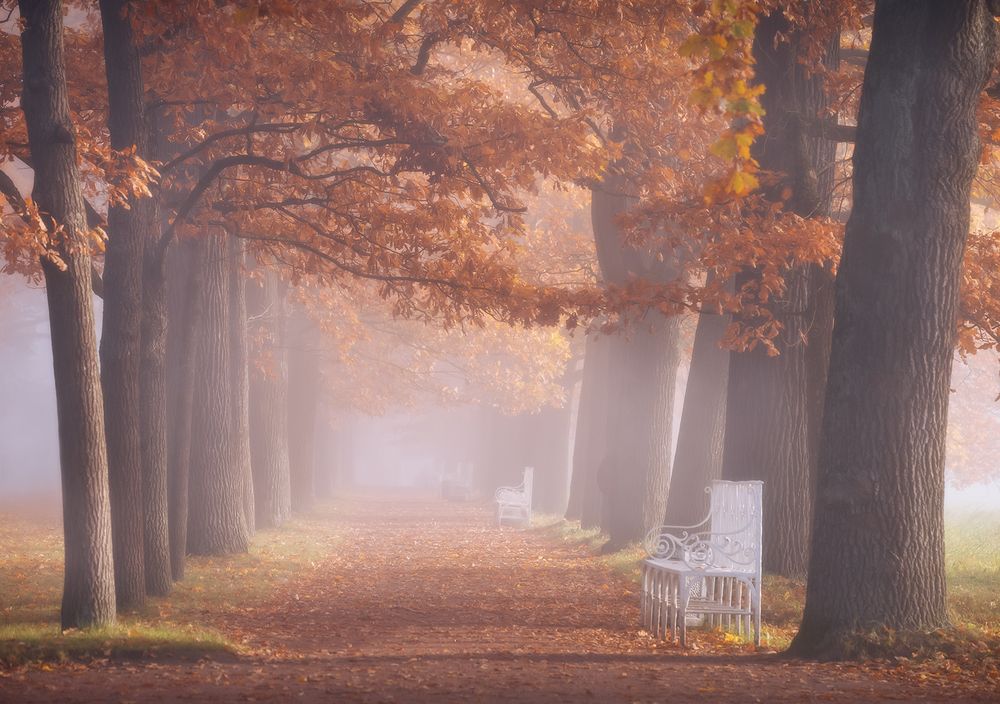 ... октябрьский Екатерининский парк ...