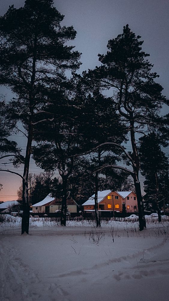 Photograph by Людмила Горячева