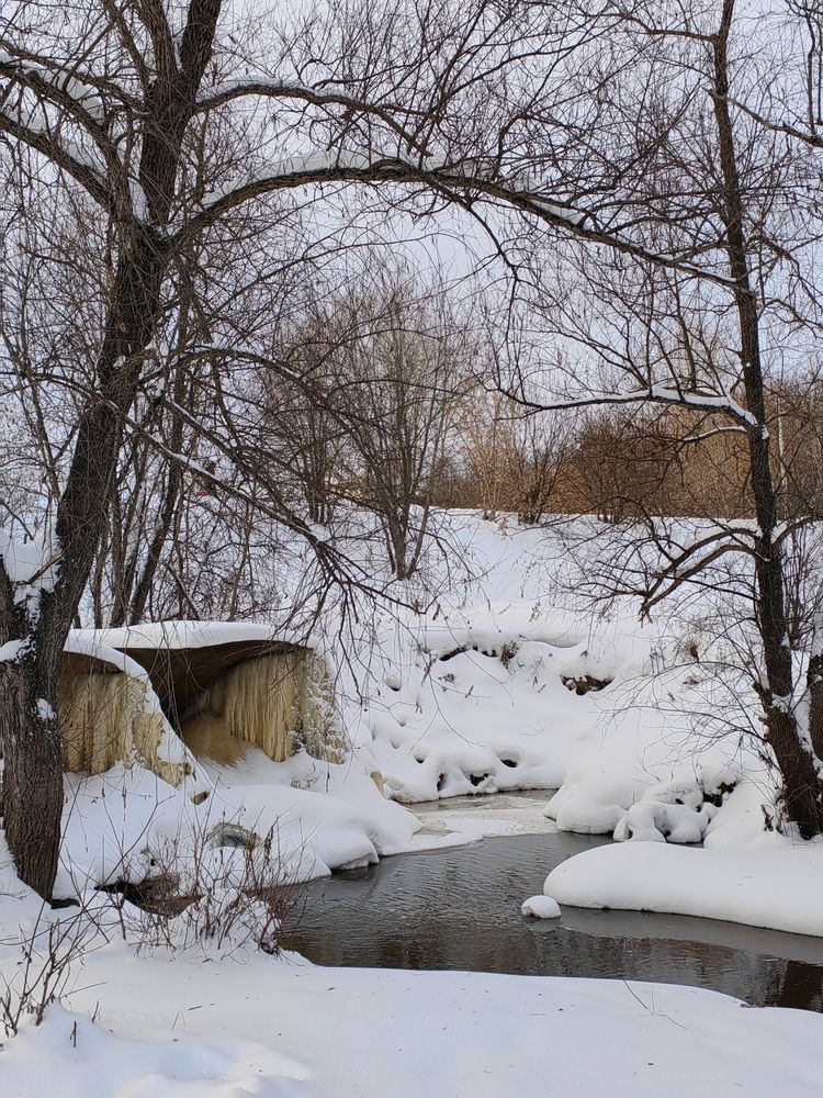 Фотография автора Алёна С-К