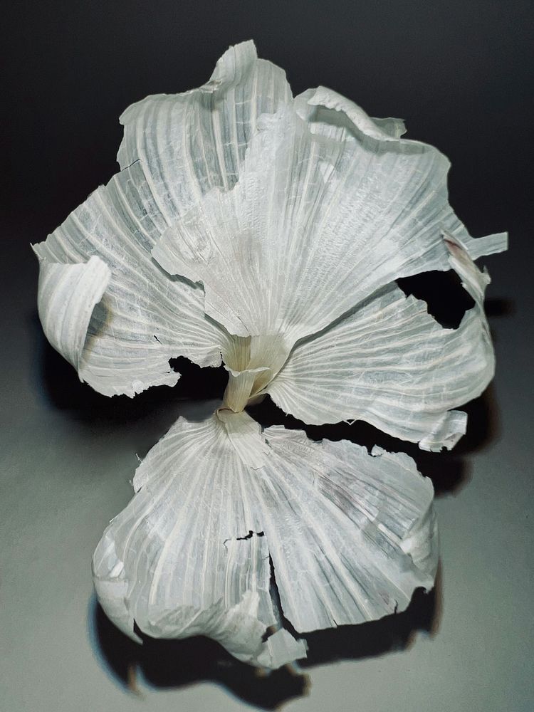 Photograph by Ирина Савицкая