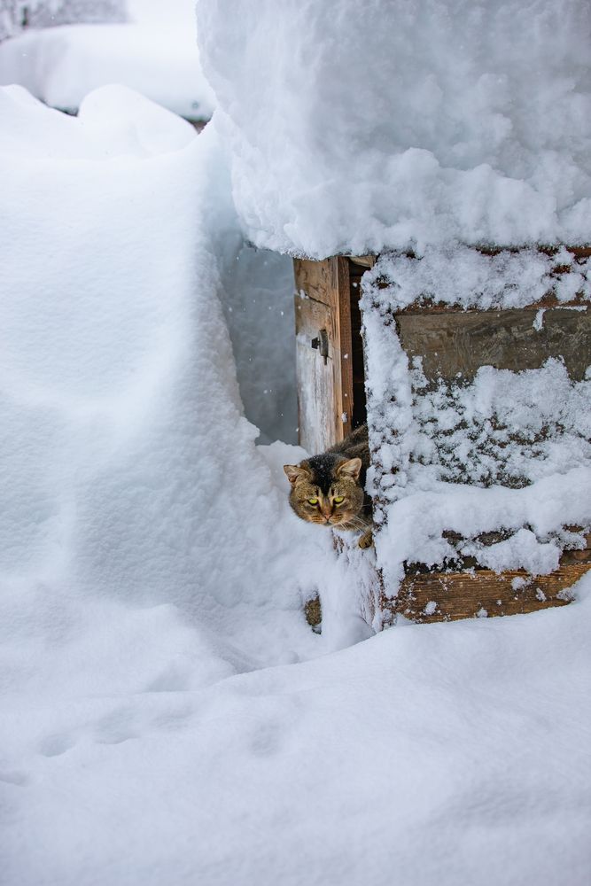 Фотография автора Михаил Лупина