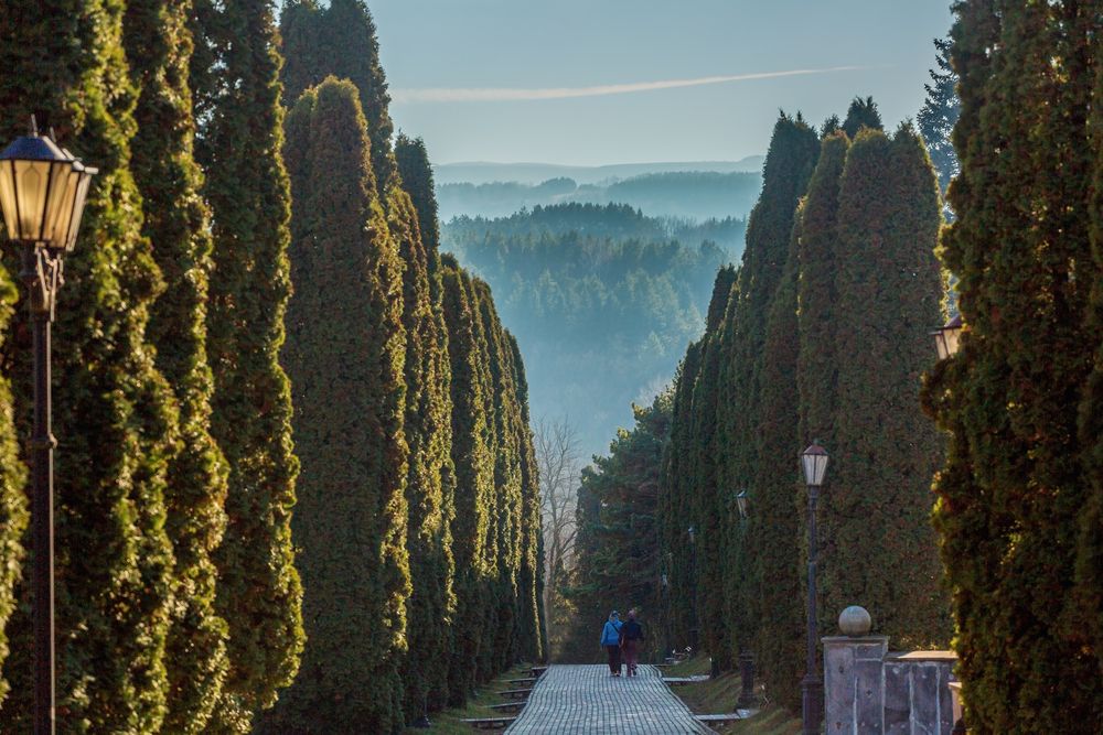 Курортный парк в Кисловодске.