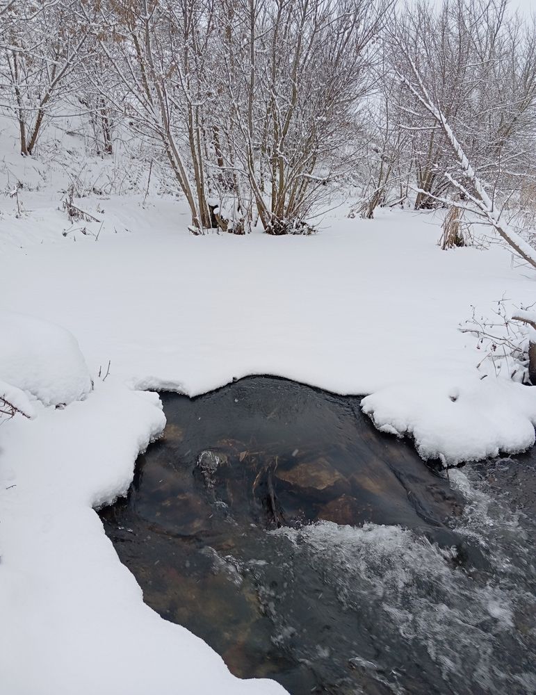 Photograph by Елена Коробченко