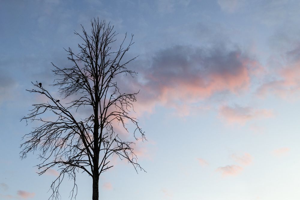 Photograph by Александр Новиков