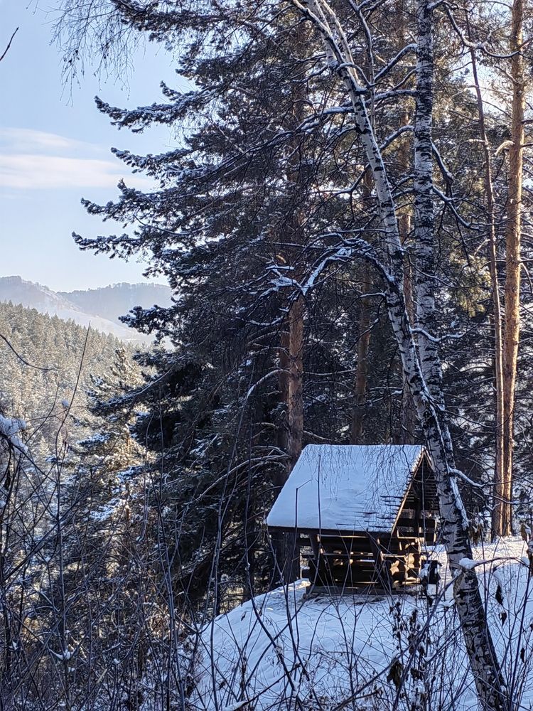 Фотография автора Алёна С-К
