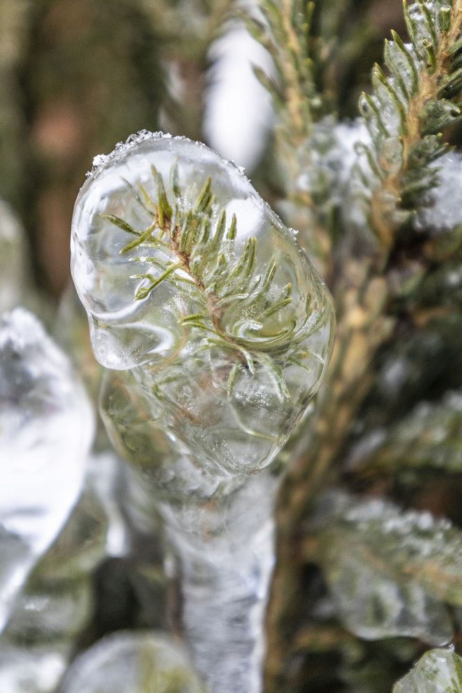 Photograph by Александр Новиков