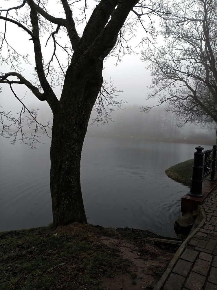 Photograph by Анастасия Псарёва