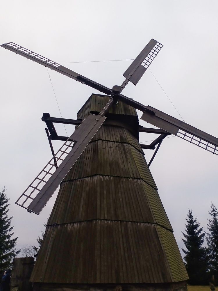 Photograph by Анастасия Псарёва