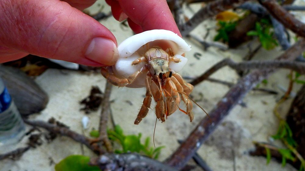 Photograph by николай зайцев