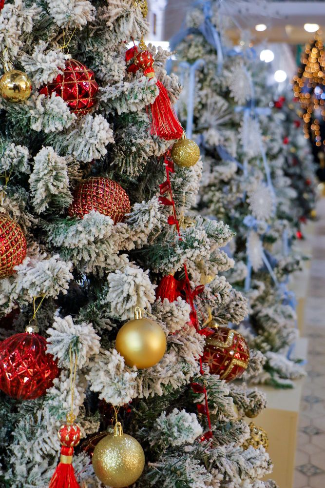 Фотография автора Светлана Долотова