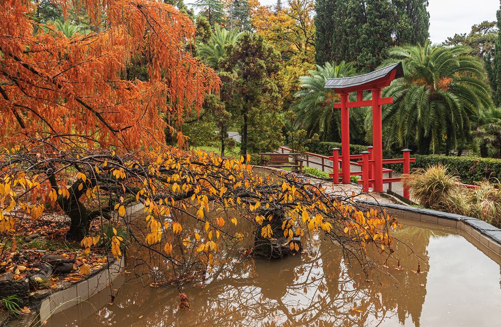 Photograph by Владимир Бочковский