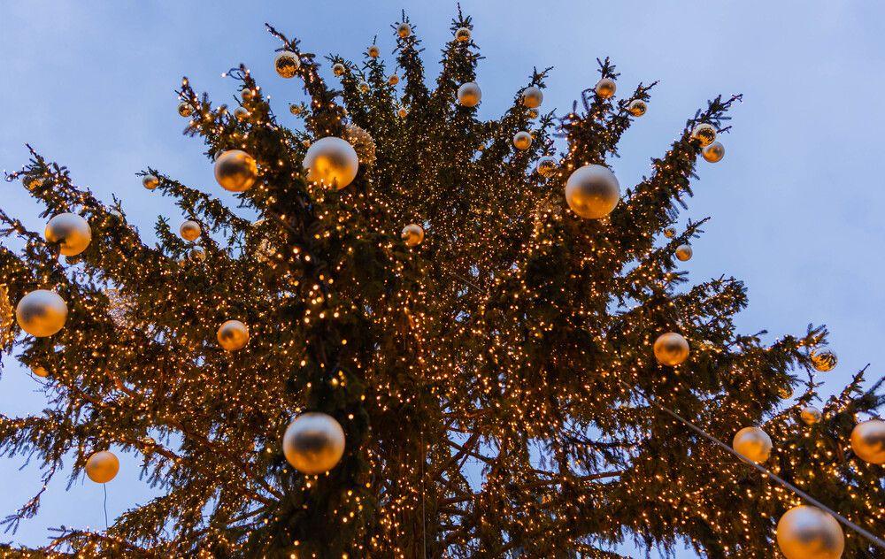 Photograph by Igor Shulkin