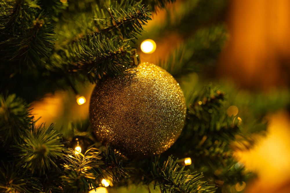 Photograph by Igor Shulkin