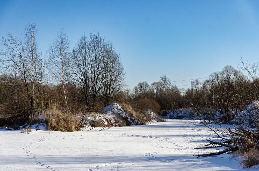 Photograph by Алёна